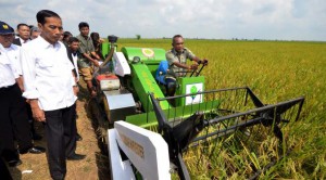 098770900_1426680966-15-03-18_Jokowi__Indramayu_Panen_Raya__Blusukan_di_Sawah_Mesin_Panen_Padi-1-small